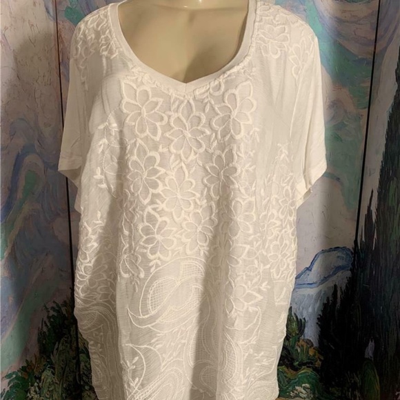 Curations  Ivory Sheer Embroidered Tunic Top - Picture 1 of 6